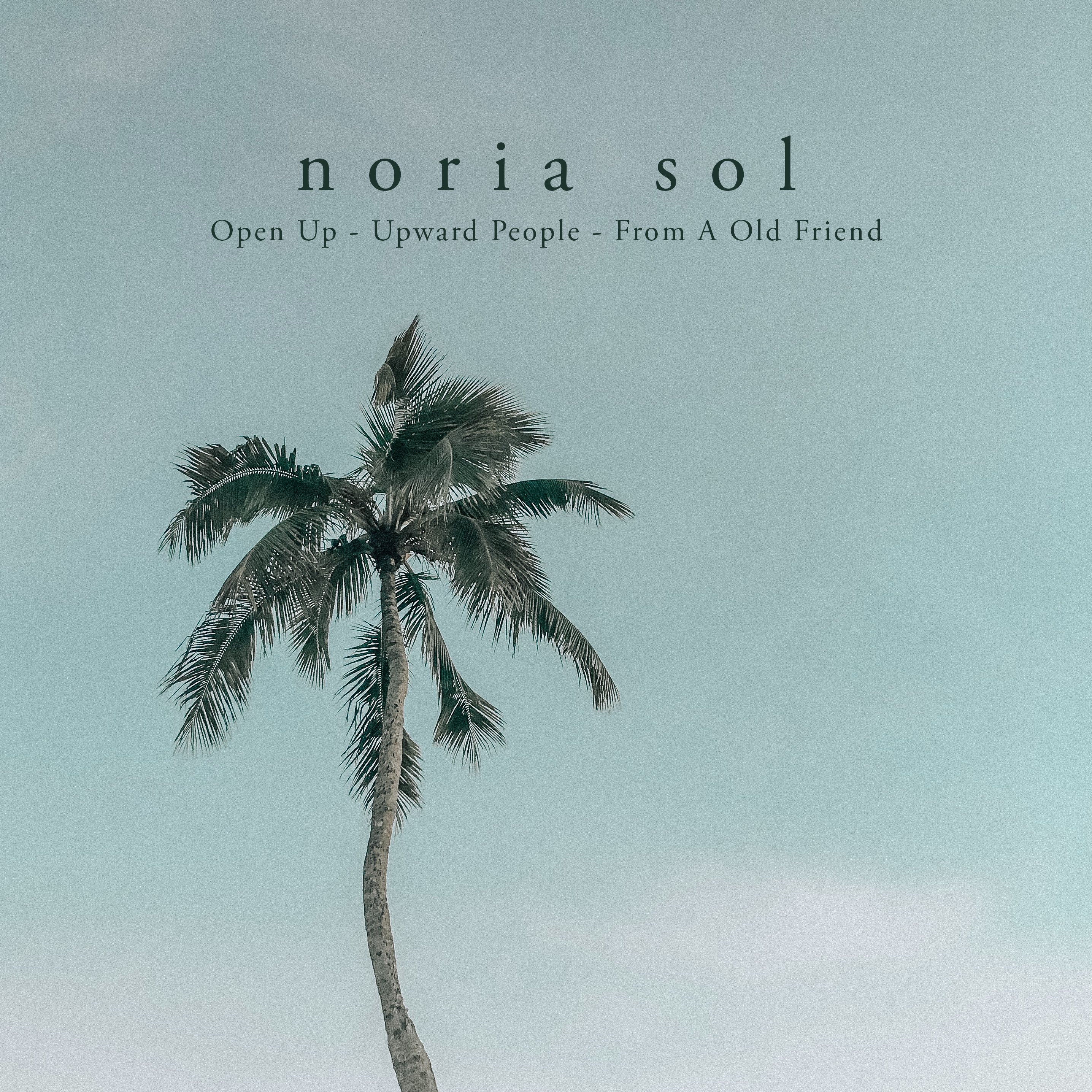 Open Up Noria Sol